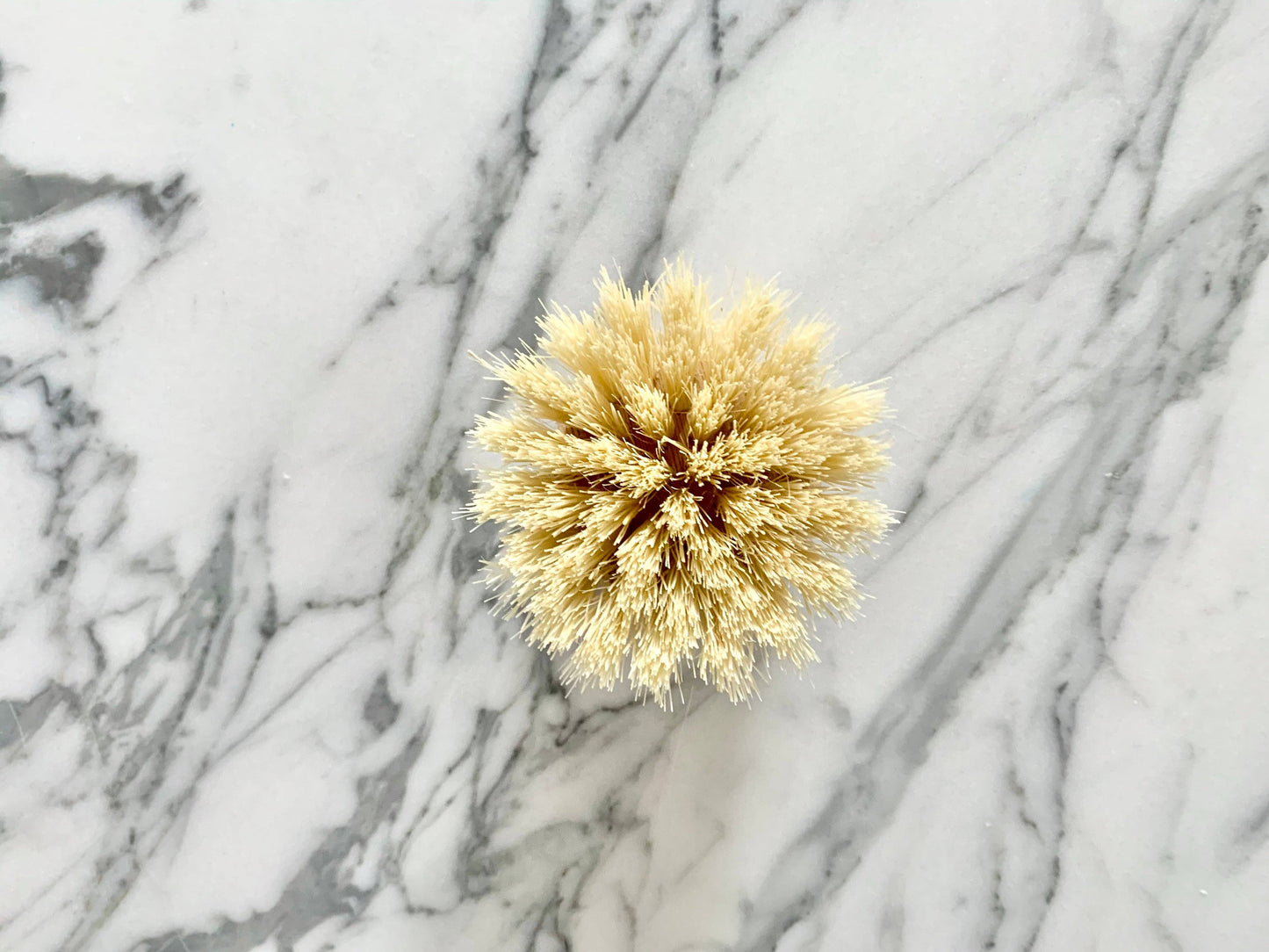 100% Compostable Dish Brush Head replacement