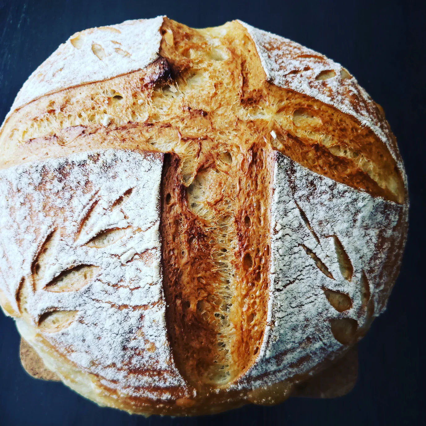 Sourdough Starter
