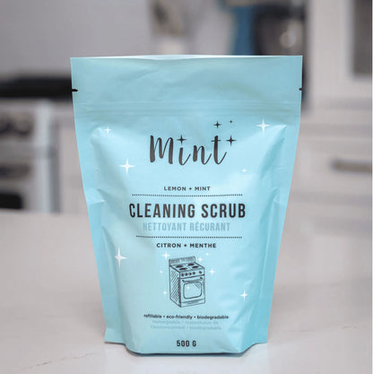 Cleaning Scrub Refill, 500g