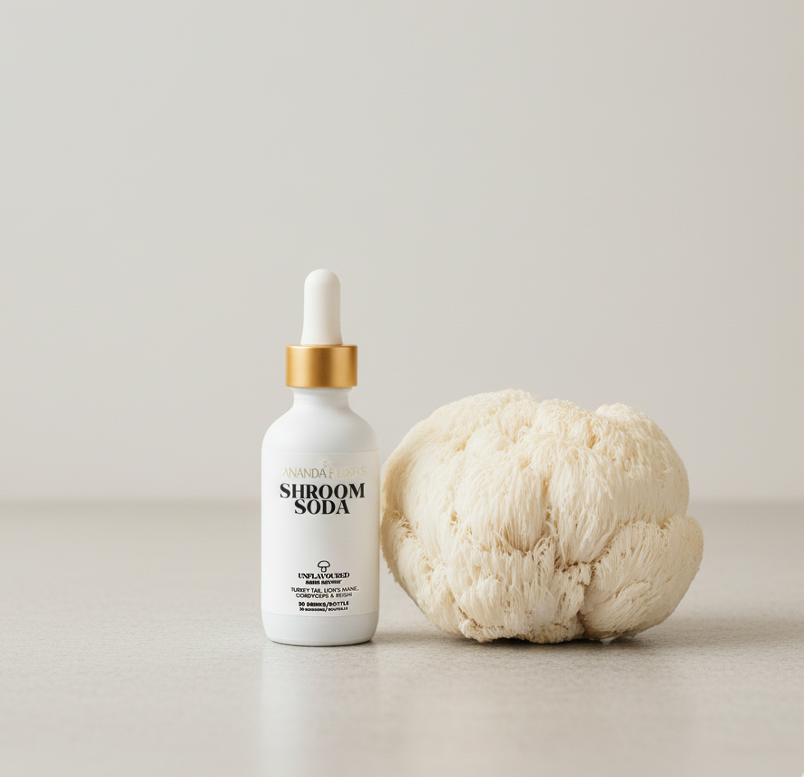 Shroom Soda - Unflavoured